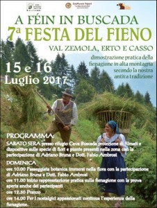 festa del fieno 17